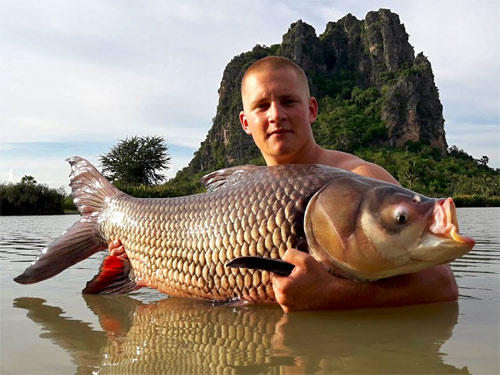 Giant Siamese Carp from Jurassic.