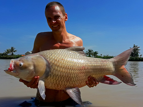 Giant Siamese Carp from Jurassic.