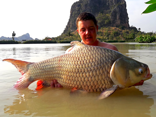 Giant Siamese Carp from Jurassic.