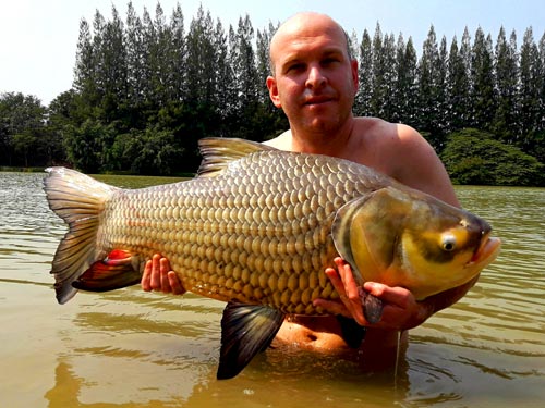 Giant Siamese Carp from Lake Monsters.