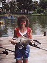 Giant Siamese Carp from Bangkok.