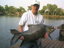 Cannon with a Giant Siamese Carp.