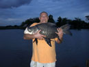 Jay with a Giant Siamese Carp.