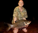 Giant Siamese Carp from Bangkok.