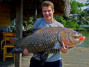 Massive Giant Siamese Carp!