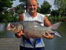 Giant Siamese Carp from Bangkok.