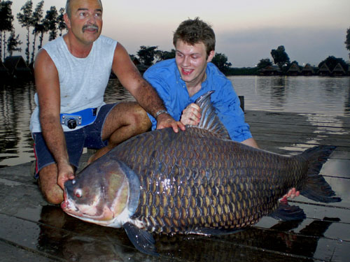 Giant Siamese Carp from the New Bungsamran