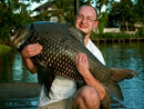 Beautiful Giant Siamese Carp.