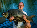 Beautiful Giant Siamese Carp from Bungsam Lan.