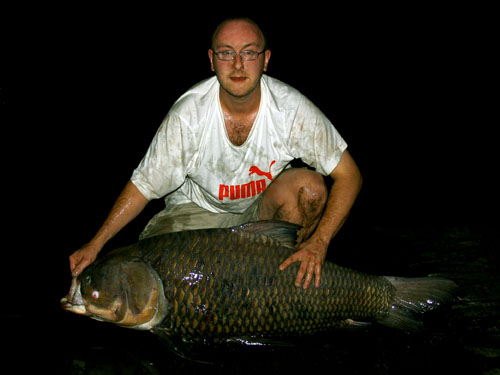 Giant Siamese Carp from the New Bungsamran