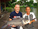 Giant Siamese Carp from Bangkok.