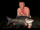 Giant Siamese Carp from Bangkok.