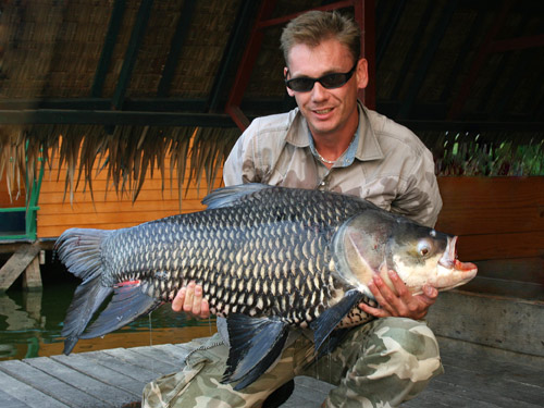 Giant Siamese Carp from the New Bungsamran