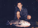 Giant Siamese Carp from Bungsam Lan.