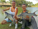 Giant Siamese Carp.