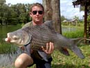 Giant Siamese Carp.