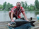 Giant Siamese Carp from Bangkok.