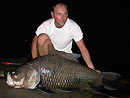 Giant Siamese Carp from Bungsam Lan.