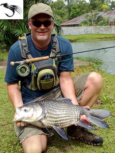 Giant Siamese Carp on fly!