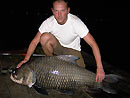 Giant Siamese Carp from Bungsam Lan.