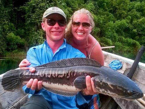 Giant Snakehead Jungle fishing Thailand.