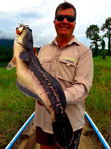 Giant Snakehead from Cheow Lan.