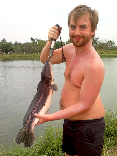 Giant Snakehead.