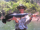 Giant Snakehead from jungle fishing.