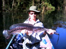 Giant Snakehead from Cheow Lan.