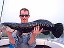 Giant Snakehead jungle fishing.