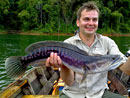 Giant Snakehead.