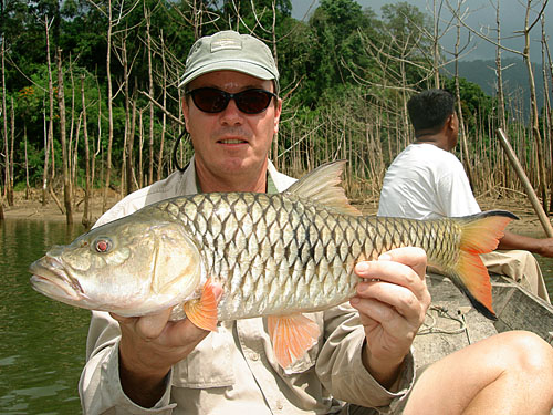 Hampala Barb jungle fishing.