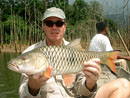 Hampala Barb from Cheow Lan Lake.