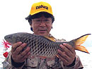 Hampala Barb on a surface lure.