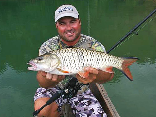 Hampala Barb Jungle fishing Thailand.