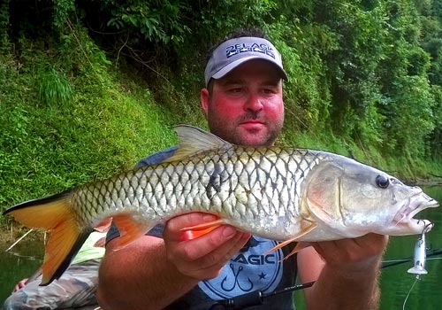 Hampala Barb Jungle fishing Thailand.