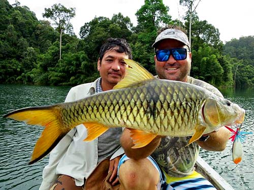 Hampala Barb Jungle fishing Thailand.