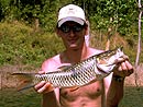 A nice Hampala Barb Jungle Fishing.