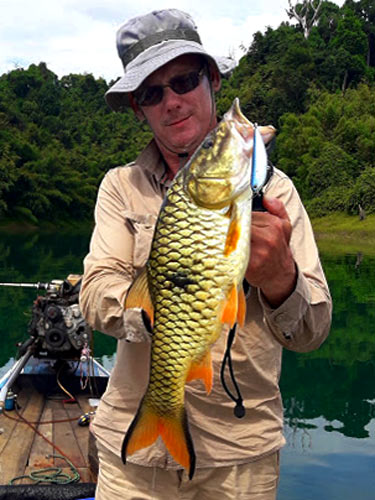 Hampala Barb Jungle fishing Thailand.