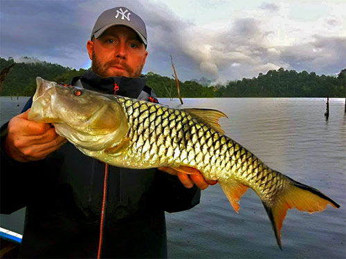 Hampala Barb Jungle fishing Thailand.