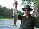 Small Hampala Barb Jungle Fishing.