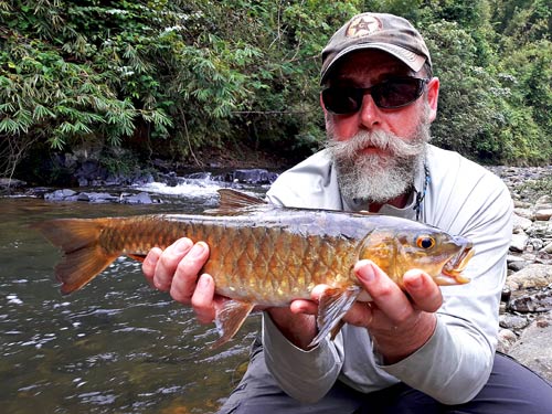 Beautiful Mahseer