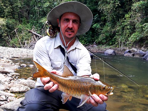 Thailand Jungle fly fishing.