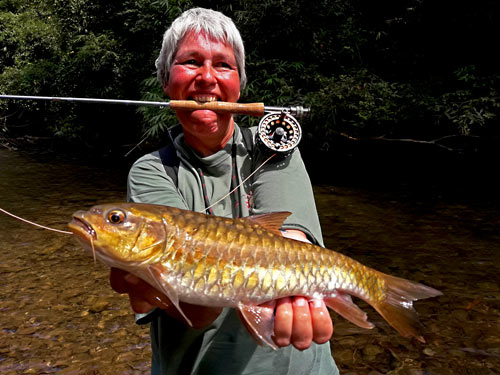 Phuket Mahseer fishing.