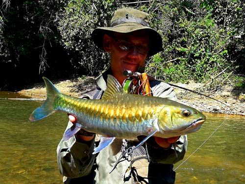 Mahseer caught on fly.