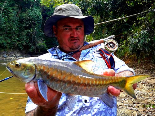 Beautiful Mahseer