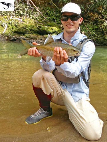 Phuket Mahseer fishing.