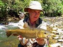 Mahseer Jungle Fly Fishing..