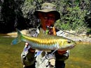 Mahseer Jungle Fly Fishing..