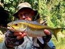 Mahseer Jungle Fly Fishing..